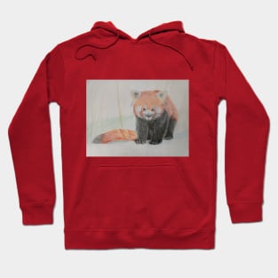 Red Panda Hoodie